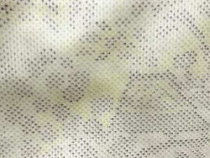 アンティーク　家屋に樹木模様織出し本場白大島紬着物（5マルキ）